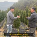 그린농장 티스토리