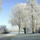 모두건강 이미지