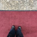 (주)금토일산업 | 3월의 끝과 4월의 시작 : 취준정병일기5 그리고 케이팝정병일기1