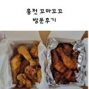 꼬마꼬꼬 이미지