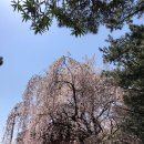 삼무공원 이미지