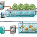 은하농장 이미지