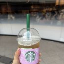 서초행복약국 | 우린 일나에요 ꕤ₊⸝⸝𓂃 언제나 사고미