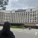 힐튼 경주 | 경주 힐튼 숙박 후기 – 완벽했던 여행