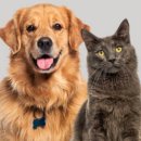 뉴월드동물병원 이미지