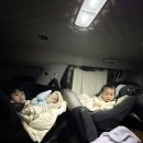 하당목장3 | [여행] 이보다 더 쌉 P는 없을걸ㅋ 33주 임산부의 제주도 여행기🍊