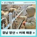 해운목장 이미지