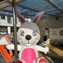 명문유치원 이미지