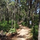 무봉산둘레길 이미지