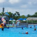 신정호야외수영장 이미지