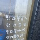 대학나무