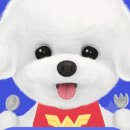 원더우멍 이미지