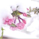 무브먼트:연 이미지