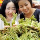 명개리 마을회관 이미지