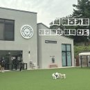 레인바우 안중점 네이버블로그