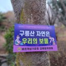 사랑문구 이미지