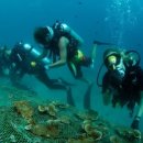 양식농장 이미지