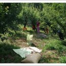 유리농원 이미지