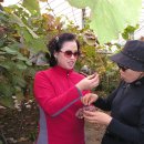 주희네 농장 이미지