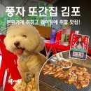 성원농장 | 풍자 또간집 김포 성원농장 야장 삼겹살 맛집, 애견동반 가능!
