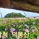 덕산통B Daum카페
