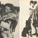 발토(BALTO) 이미지