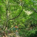 석굴암 천룡도 이미지