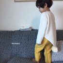 폭스테일