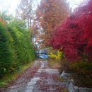 파주파인밸리 이미지