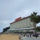 라이브클럽 킹 | 호텔 추천 웨스틴 조선 부산 이그제큐티브 킹룸 동백섬뷰 숙박 후기 클럽라운지·조식·수영장 완전 리뷰