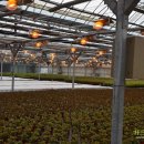 장일농장 이미지