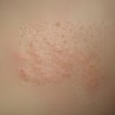 문산중앙병원 이미지