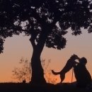 상록세탁소 이미지