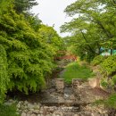 삼풍농장 이미지