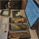 신촌 느긋 이미지