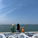 가족레저 체험코스 | 시흥 거북섬 1박2일 여행코스 :: 바다 · 레저(카약/ 바나나보트) · 아울렛까지! 데이트&amp;가족 여행 추천