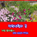 21C공인중개사사무소 이미지