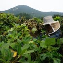 정병석농장 이미지