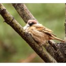 벽적골공원 이미지