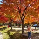 왕궁산장 이미지