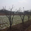 관리농장 이미지