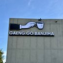 두대교사거리 | 창원 귀산 카페 마창대교뷰 ‘갱고반지하’ N차 방문 만족 후기