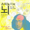 스피노자의 뇌-안토니오 다마지오 이미지