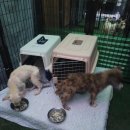 포인핸드 건강검진센터 이미지