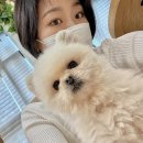곡반점 현대자동차 | 1月: 나의 밤에 계단을 놓으면 그대가 올라와요