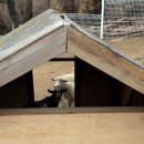 프로방스 | 청도 카페 다뷰 후기｜프로방스 옆 통창뷰·비오는날 감성 카페