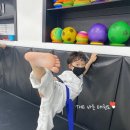 THE바른태권도 이미지