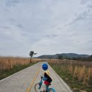 북면생태공원(다목적광장) | 창원 북면수변생태공원 룰루랄라 전동차대여