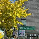 대가한방흑염소 | [굽은다리역 맛집]보양과 맛 가성비까지 빠지는게 없는 대가흑염소 명일점 솔직후기