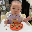 덕양식품 - 통영시 | 고양특례시 덕양구 보건소 영양플러스 조건 및 혜택 / 무료 식재료 제공 후기